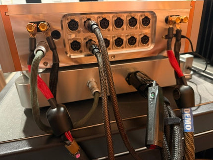 Dan D'Agostino Momentum Integrated Amplifier
